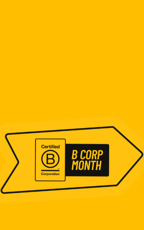 A Celebration of the B Corp movement and the way forward