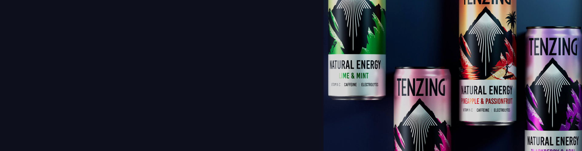 Tenzing secures minority investment from Heineken UK